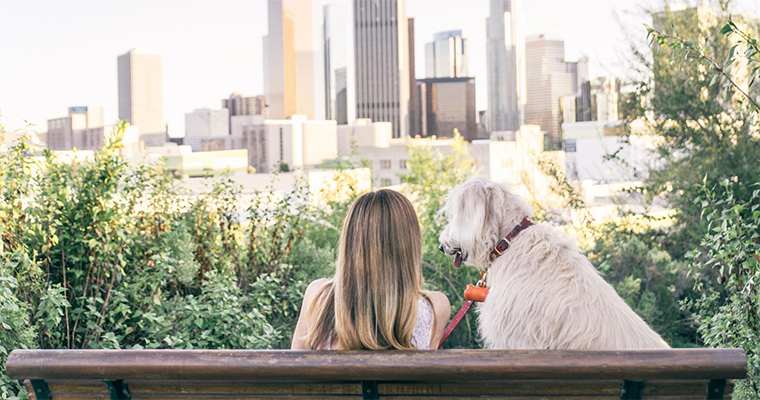 Top 10 Places to Take Your Pet on the West Coast 1