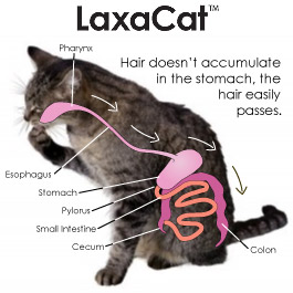 LaxaCat Hariball Rmedy.  Hairballs don't accumulate in the stomach, the hair easily passes.