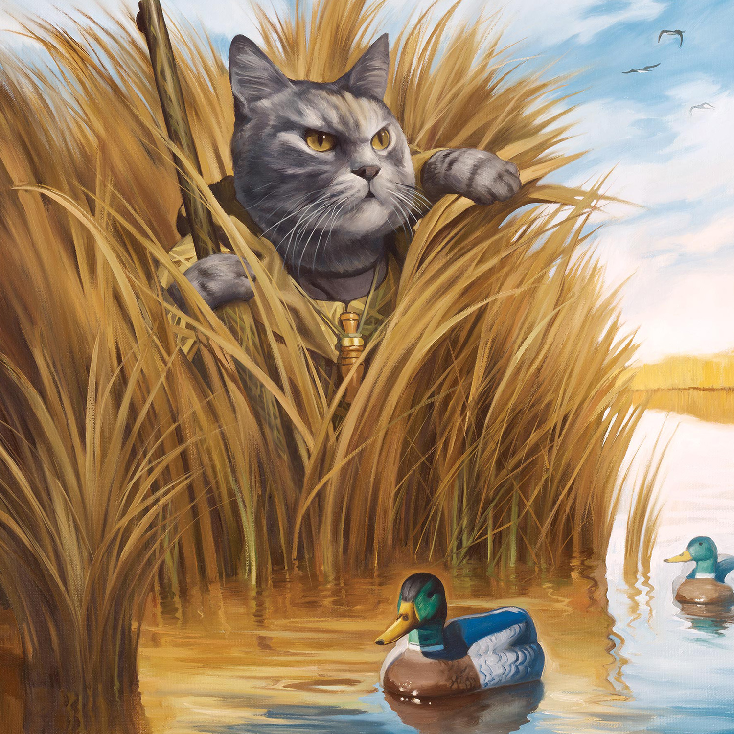 cat and ducks